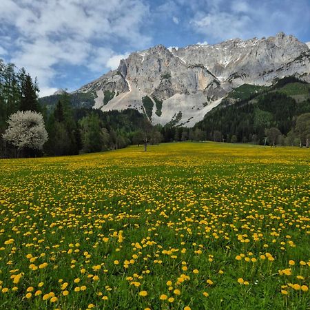 Family Appartment - Dachstein View Ramsau am Dachstein Eksteriør bilde