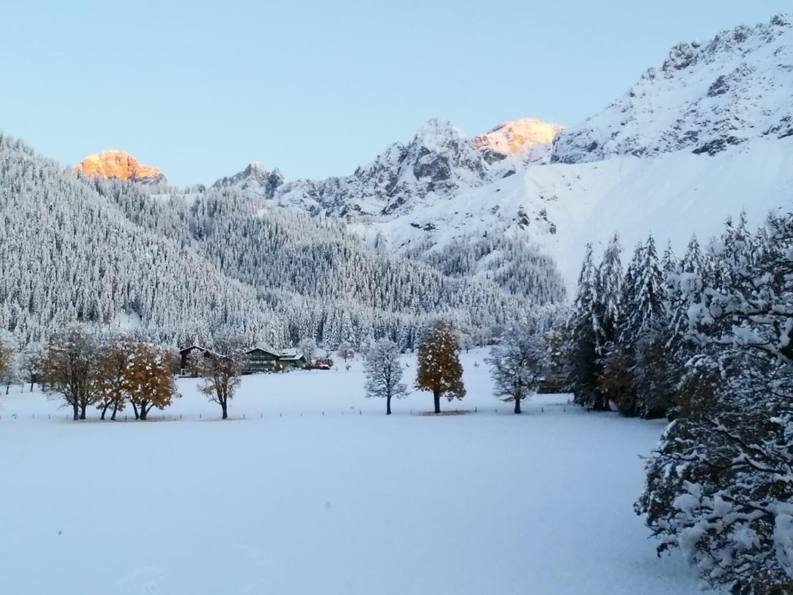 Family Appartment - Dachstein View Ramsau am Dachstein Eksteriør bilde